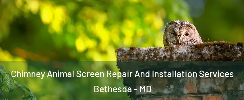  Chimney Animal Screen Repair And Installation Services Bethesda - MD