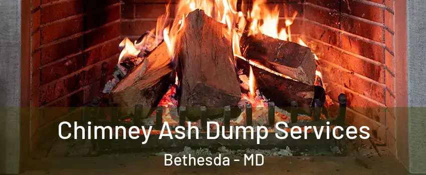  Chimney Ash Dump Services Bethesda - MD