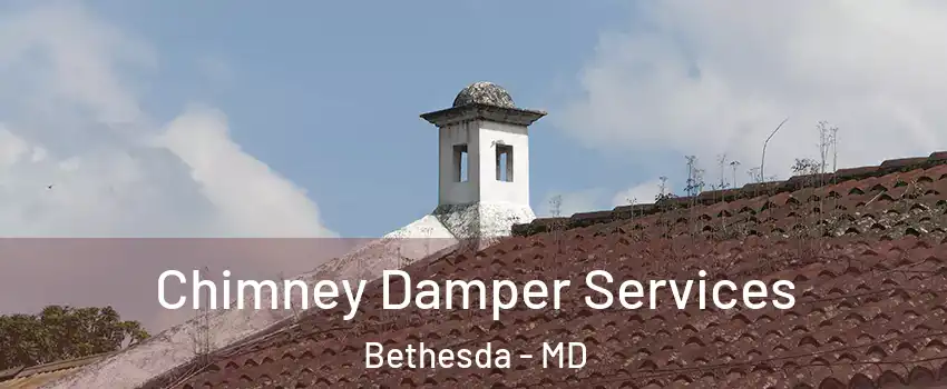  Chimney Damper Services Bethesda - MD