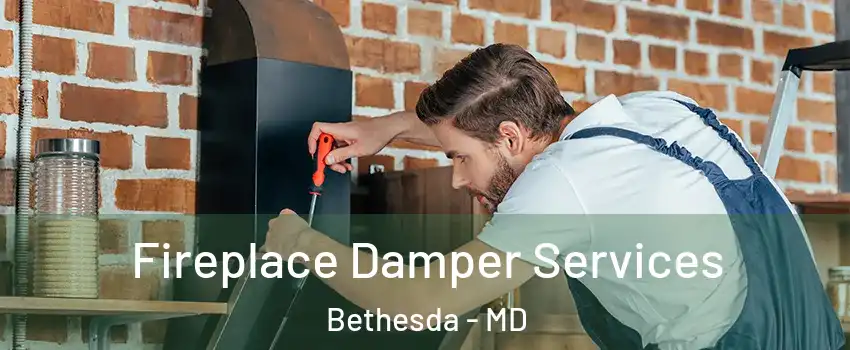  Fireplace Damper Services Bethesda - MD