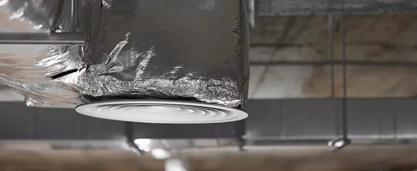 Signs of Dust Accumulation in Vents in Bethesda, MD