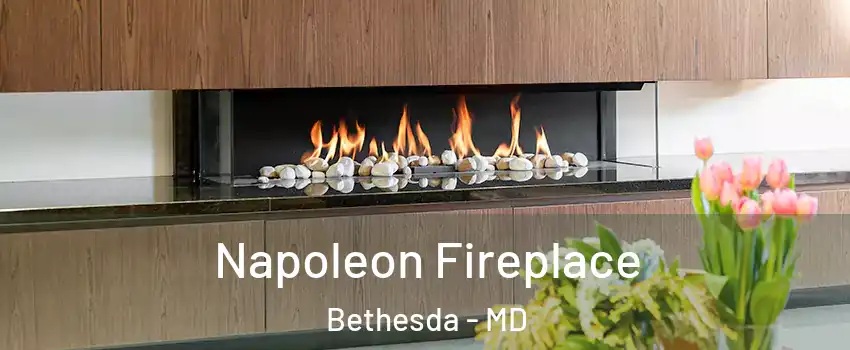  Napoleon Fireplace Bethesda - MD