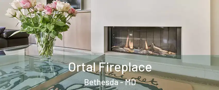 Ortal Fireplace Bethesda - MD